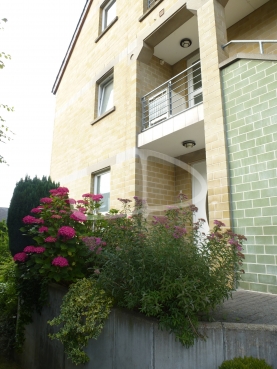 P1020425.JPG